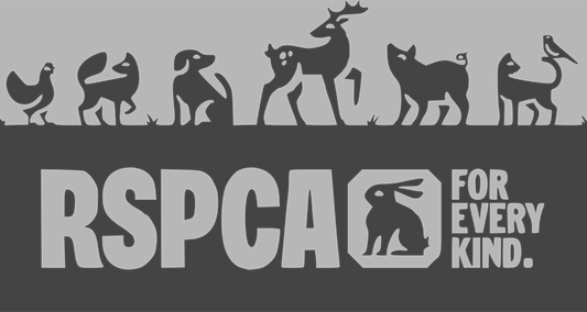 Small Impacts Leads to Big Impact - Our RSPCA Donations and Support