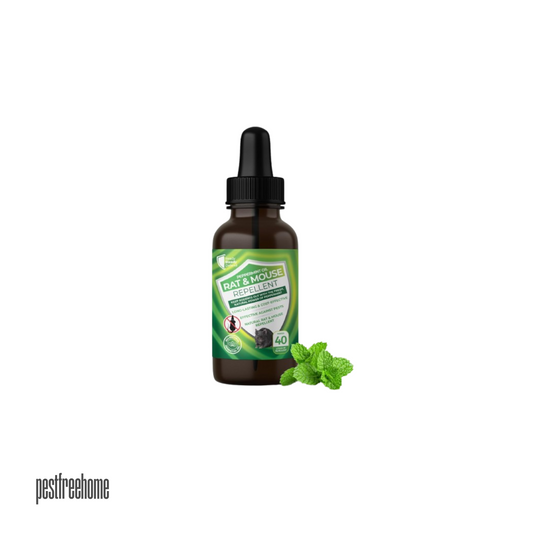 DIY rodent repellent spray made with peppermint and lavender essential oils, diluted in water for a natural, humane pest control solution. Designed for easy application in rodent-prone areas, providing long-lasting protection. Can be used with non-fragranced cotton balls for enhanced effectiveness.